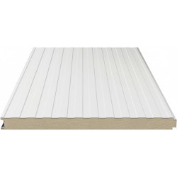 Pannello Coibentato per Pareti (Pannelli Sandwich) - Isolamento Termico e Acustico Superiore (misure 100 cm x 100 cm spessore 3 