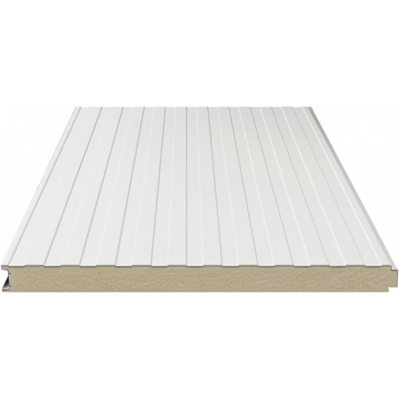 Pannello Coibentato per Pareti (Pannelli Sandwich) - Isolamento Termico e Acustico Superiore (misure 100 cm x 100 cm spessore 3 