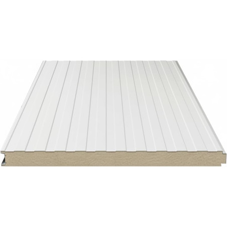 Pannello Coibentato per Pareti (Pannelli Sandwich) - Isolamento Termico e Acustico Superiore (misure 100 cm x 100 cm spessore 3 