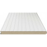 Pannello Coibentato per Pareti (Pannelli Sandwich) - Isolamento Termico e Acustico Superiore (misure 100 cm x 100 cm spessore 3 